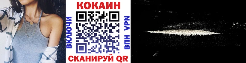 Кокаин Fish Scale  Купить закладки  Нижняя Салда 