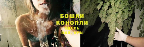 тгк Дмитровск