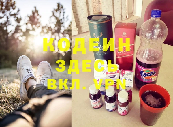 амф Дмитриев