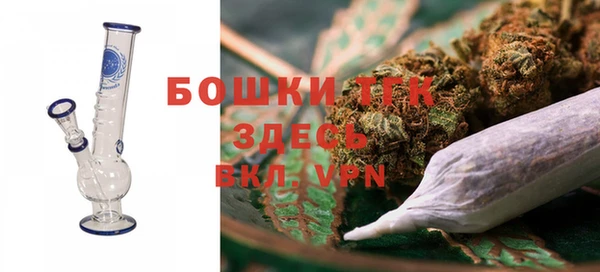 сатива Дмитров