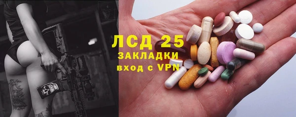 тгк Дмитровск