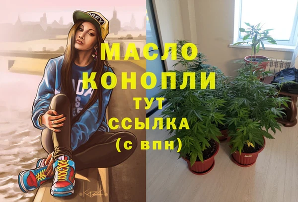 амф Дмитриев