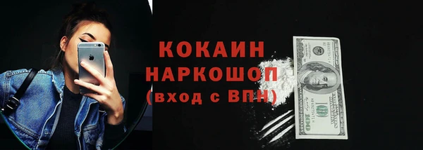 тгк Дмитровск