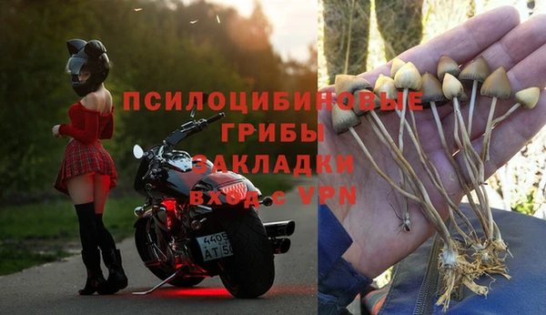 амф Дмитриев