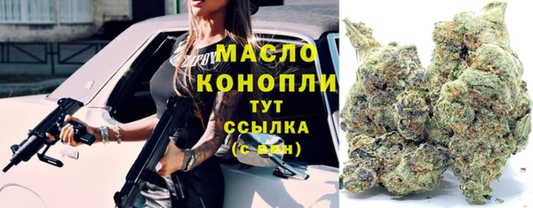 амф Дмитриев