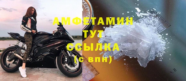 амф Дмитриев