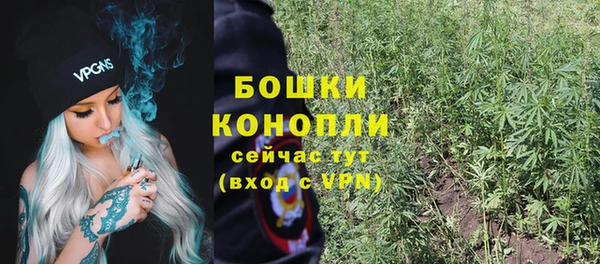 тгк Дмитровск